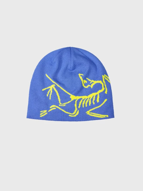 Arc'teryx Calvus Cap  Image