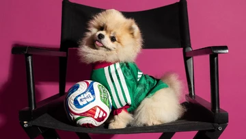 adidas World Cup Pet Collection