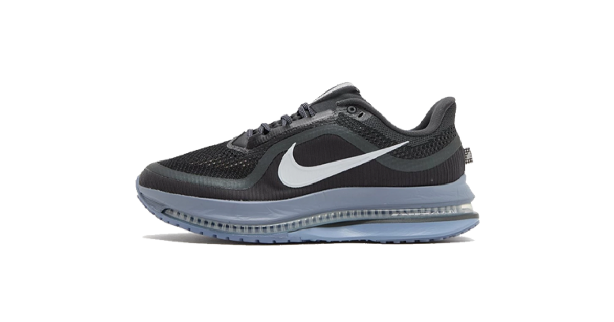 Nike Pegasus Premium Anthracite HQ2592-006 | Dead Stock