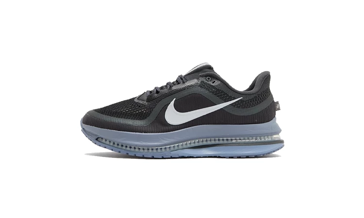 Nike Pegasus Premium Anthracite