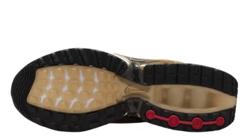 Air Max DN Metallic Gold Sohle