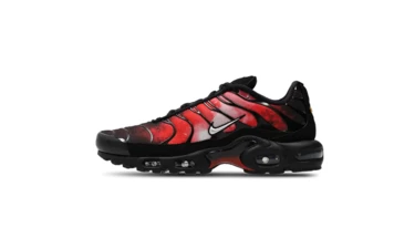 Air Max Plus Flairemax