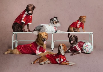 adidas Pet Soccer Collection