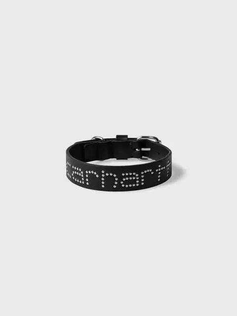 Carhartt WIP Script Studs Dog Collar Image