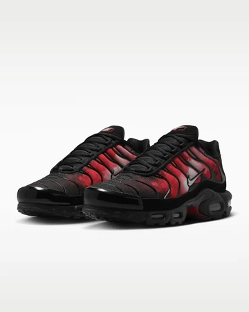 Air Max Plus Flairemax Paar