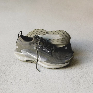 Nike Pegasus Trail 5 Gore-Tex Sequoia Mood