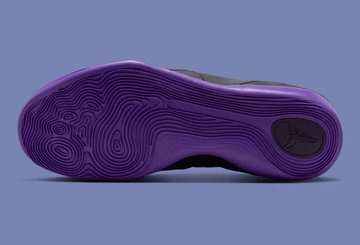 Nike Kobe 9 EM Protro Purple Dynasty