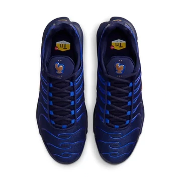 Nike Air Max Plus French Football Federation Paar