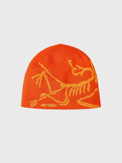 Arc'teryx Bird Head Toque  Image