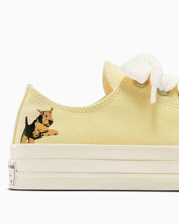 Golf le Fleur x Converse Darryl Chuck Pack