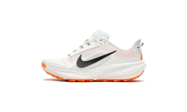 Nike ACG Pegasus Trail White