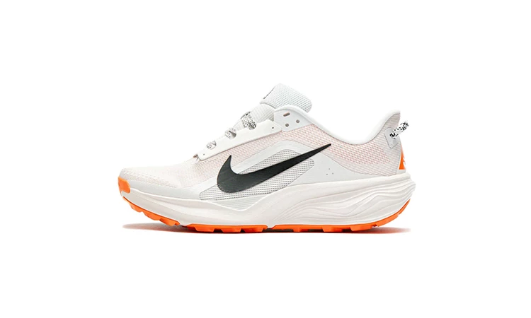 Nike ACG Pegasus Trail White