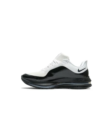 Nike Pegasus PRM Tech Pack
