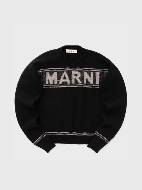 Marni Roundneck Sweater  Image