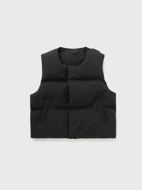 Puffer Vest Image