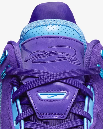 Nike Zoom LeBron NXXT Gen Ampd Summit Lake Hornets