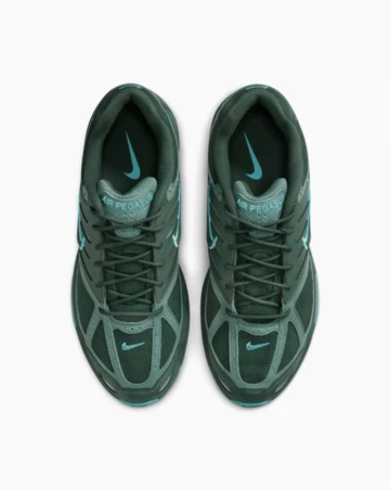 Nike Air Pegasus 2K5 Fir von oben