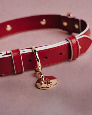 adidas Pet Soccer Collection Halsband