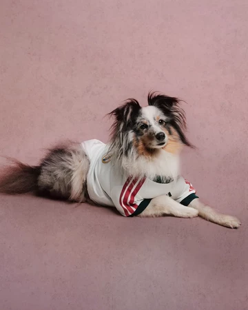 adidas Pet Soccer Collection Jersey