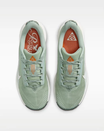 Nike ACG Pegasus Trail Jade Horizon Paar