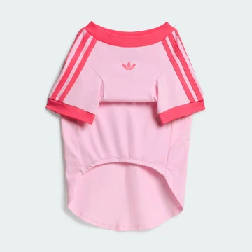 adidas World Cup Pet Collection rosa