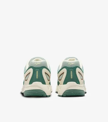 Nike Air Pegasus 2K5 Bicoastal von hinten