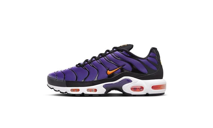 Air Max Plus Voltage Purple DX0755 500 Dead Stock