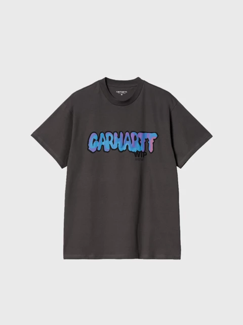 Carhartt Drip T-Shirt grau Image