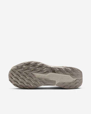 Nike Pegasus Trail 5 Gore-Tex Earth Pack