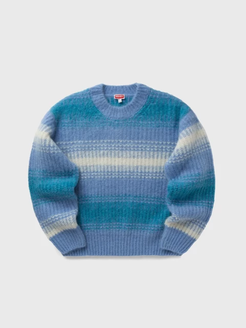 Speed Stripe Jumper  Image