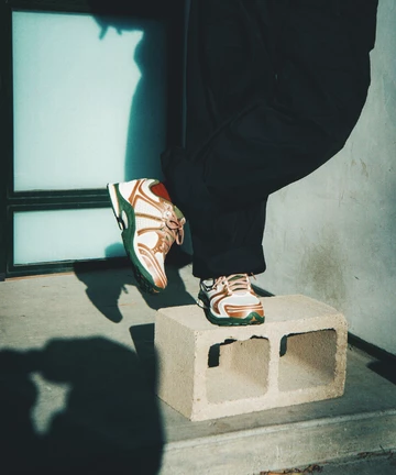 Seanella Abraham x Saucony ProGrid Triumph 4 Mood