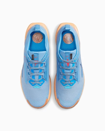 Nike Pegasus Trail 5 Gore-Tex Blue Beyond Paar von oben