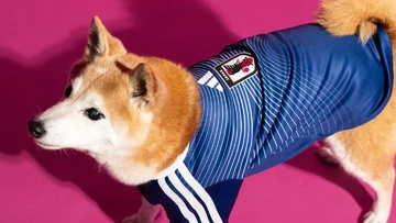 adidas World Cup Pet Collection