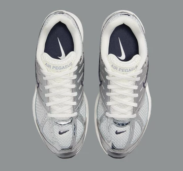 Nike Air Pegasus 2K5 Chrome von oben