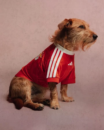 adidas Pet Soccer Collection Jersey