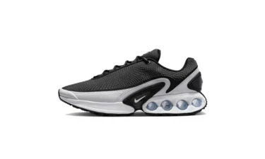 Air Max DN Black White 