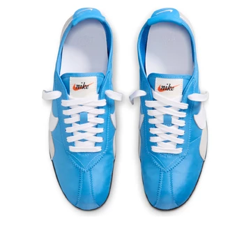 Nike Moon Shoe Italy Blue