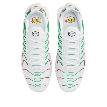 Nike Air Max Plus Italy Paar