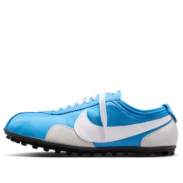 Nike Moon Shoe Italy Blue