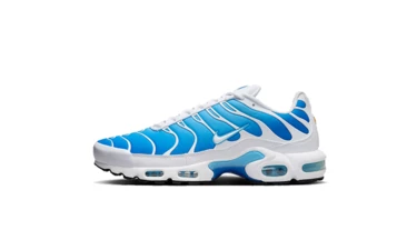 Air Max Plus Blue Gaze