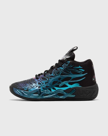 Puma MB.04 Reflections