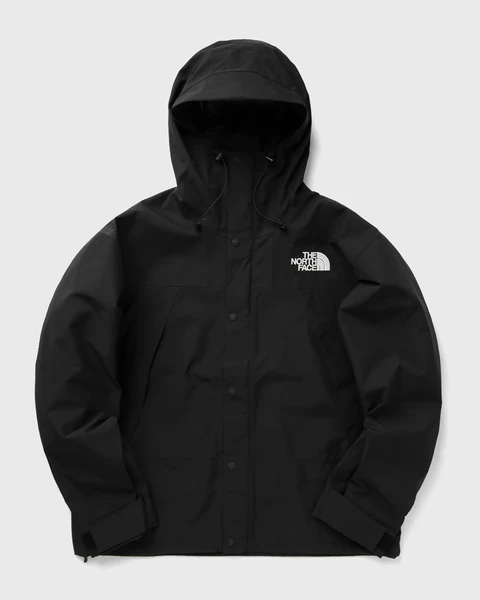 The North Face M GTX Mountain Jacket Image