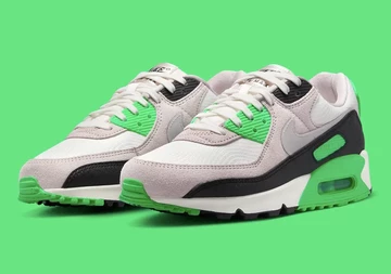 Air Max 90 Vapor Mauve Paar