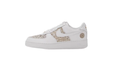 Nike Air Force 1 '07 Family Reunion