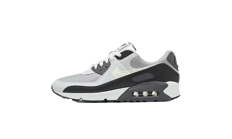 Nike Air Max 90 Light Smoke Grey