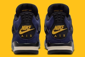 Air Jordan 4 Lakers von hinten