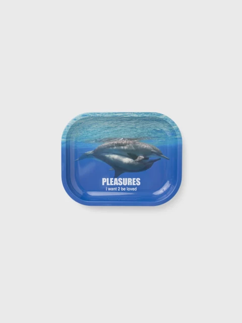 Dolphins Metal Tray  Image