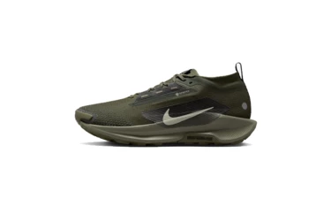 Nike Pegasus Trail 5 Gore-Tex Sequoia