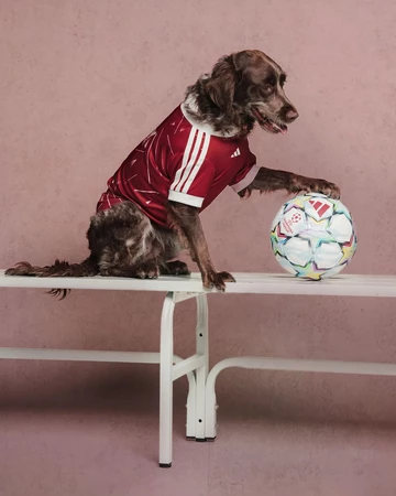 adidas Pet Soccer Collection Jersey