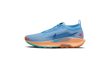 Nike Pegasus Trail 5 Gore-Tex Blue Beyond